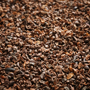 Close-up of a pile of roasted cocoa nibs