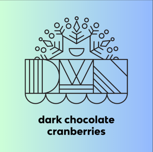 dark chocolate cranberries