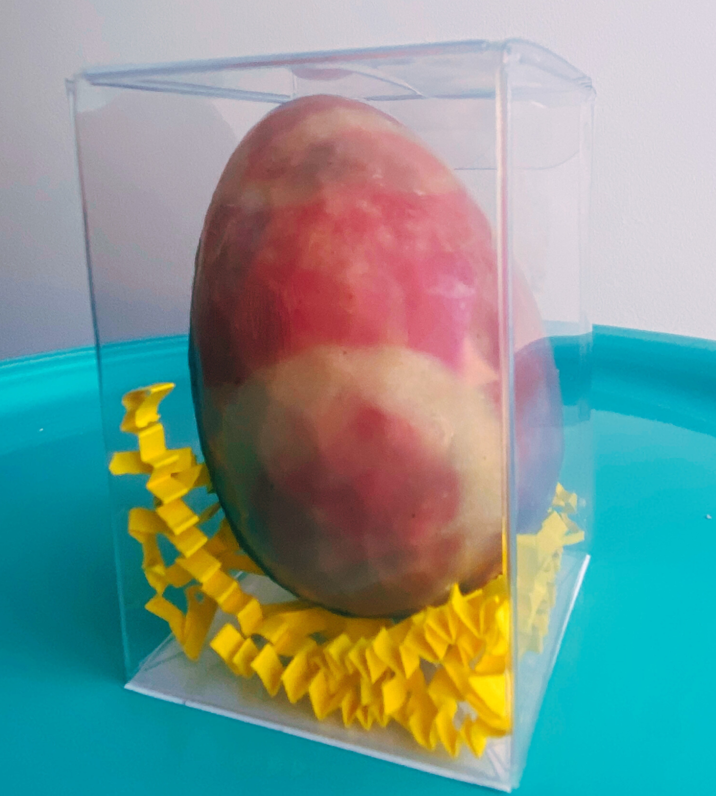 dark chocolate Easter egg in a clear box