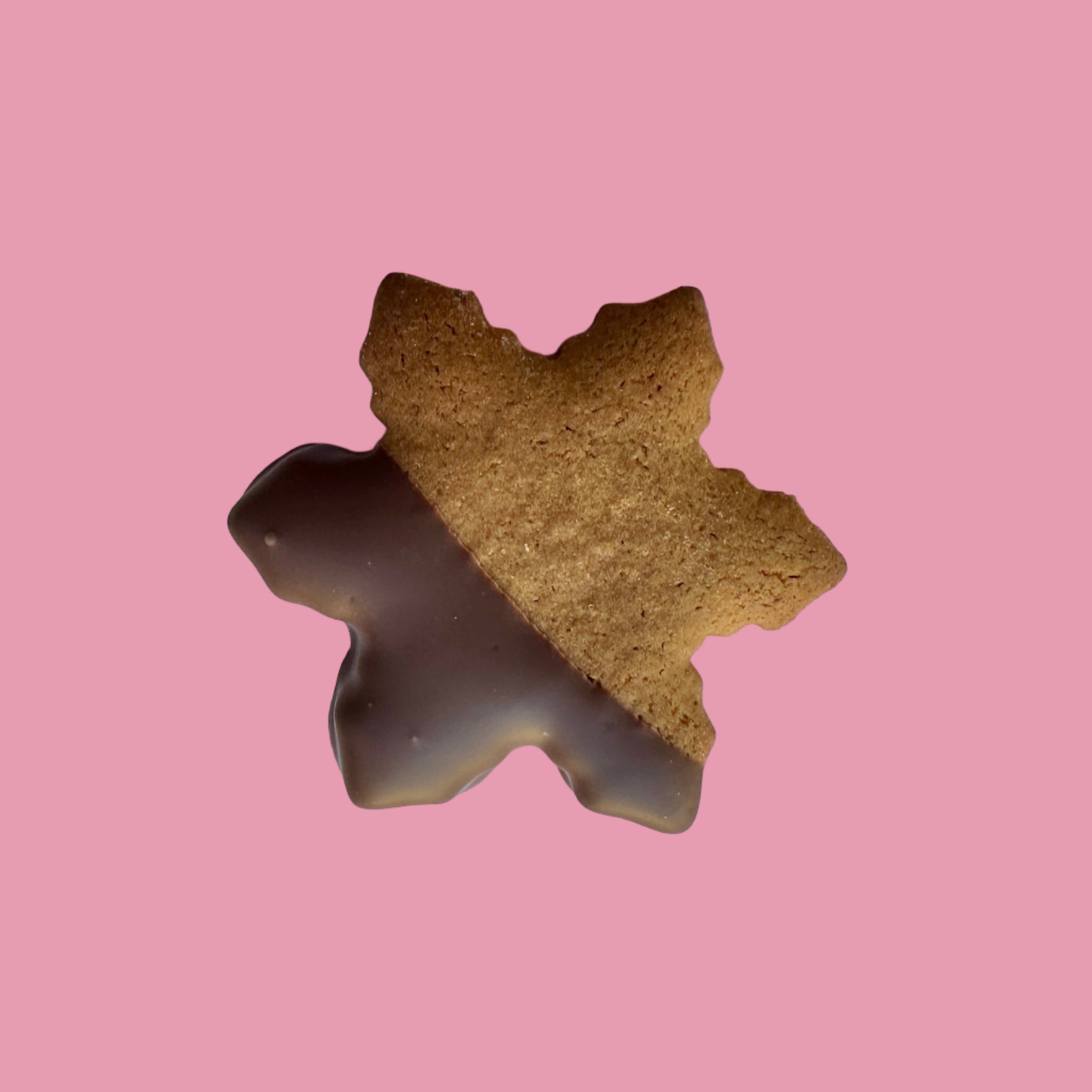 gingerbread snow flake dipped in chocolate