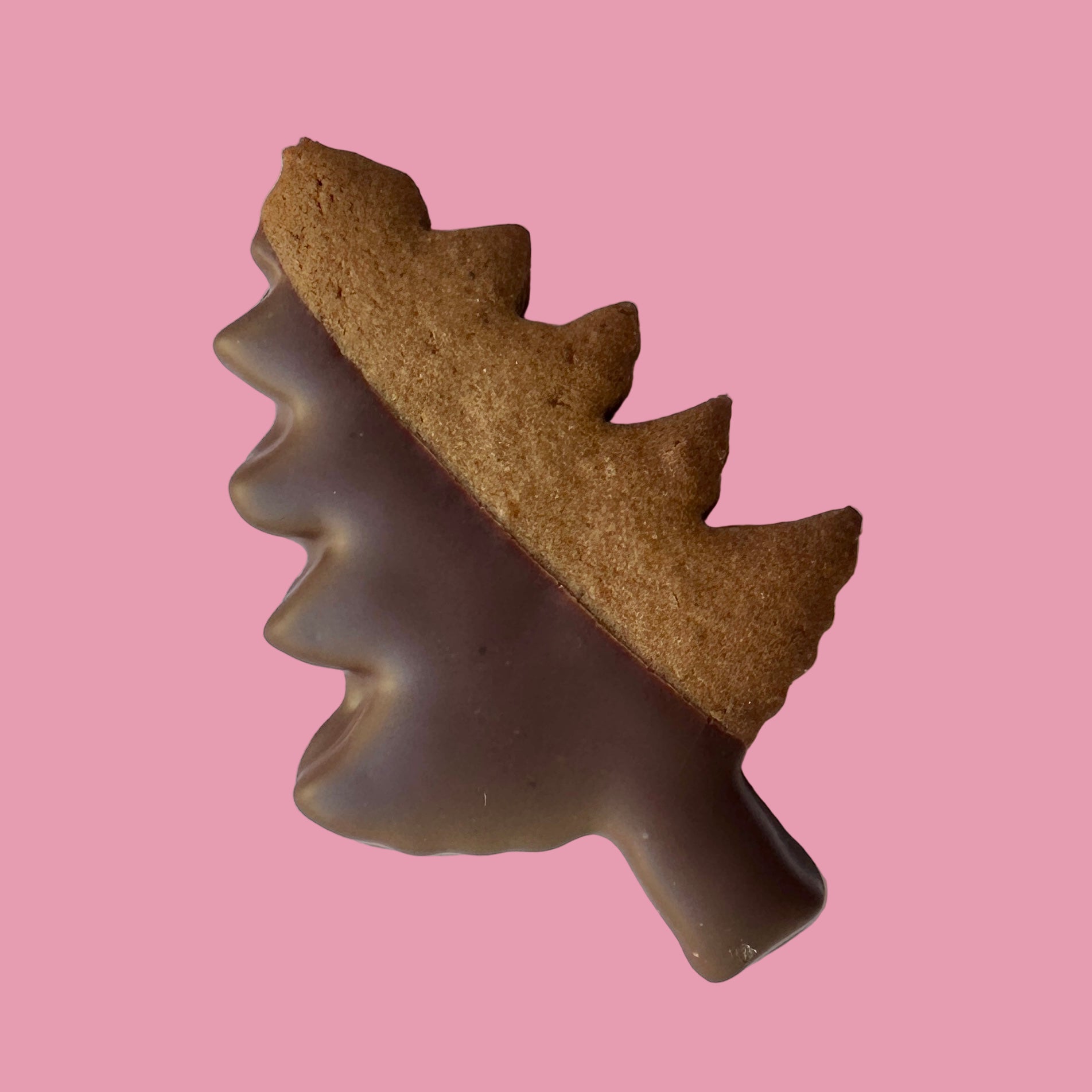 gingerbread tree dipped in chocolate