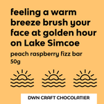 Load image into Gallery viewer, emotional text for a peach raspberry fizz bar with sun and water icons on a yellow background
