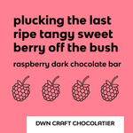 Load image into Gallery viewer, Pink background with text and raspberry illustrations for DWN Craft Chocolatier raspberry dark chocolate bar
