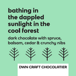 Load image into Gallery viewer, black text on a light green background that reads, &quot;bathing in the dappled sunlight in the cool forest; dark chocolate with spruce, balsam, cedar &amp; crunchy nibs&quot;
